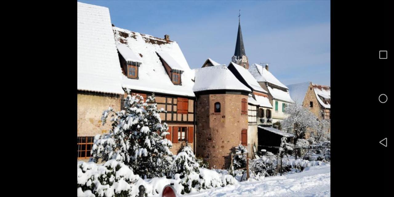 Cocon De Caractere Au Coeur Des Vignes Alsaciennes Lägenhet Bergheim Exteriör bild