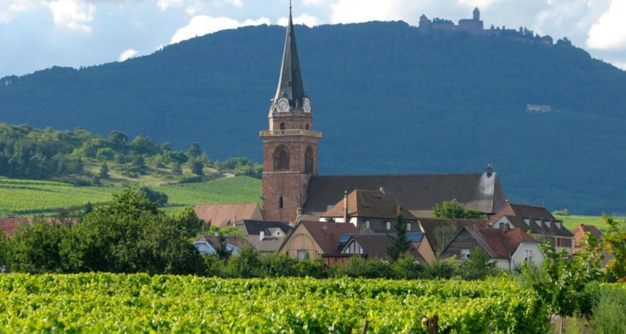 Cocon De Caractere Au Coeur Des Vignes Alsaciennes Lägenhet Bergheim Exteriör bild