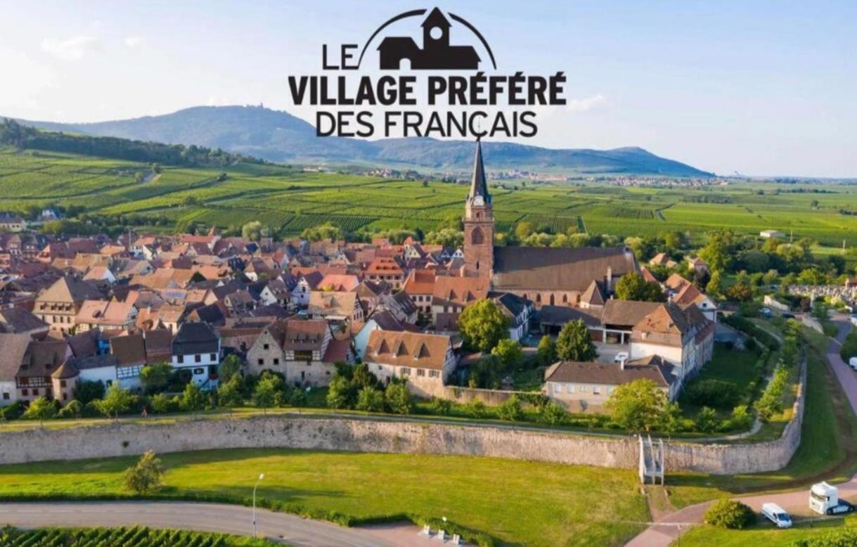 Cocon De Caractere Au Coeur Des Vignes Alsaciennes Lägenhet Bergheim Exteriör bild